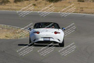 media/Nov-03-2023-Club Racer Events (Fri) [[fd9eff64e3]]/Yellow/Back Shots/